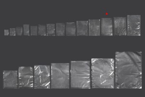 Sacs sous vide (sachets sous vide) pour la conservation - l'emballage des aliments et autres produits 160 x 240 mm - 100 pcs-6