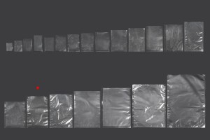 Sacs sous vide (sachets sous vide) pour la conservation - l'emballage des aliments et autres produits 200 x 300 mm - 100 pcs-εικόνα_σύνθεση