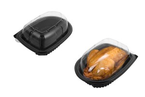 Kunststoffverpackung (Utensilien) 264x195x110mm mit Deckel - 12 Stk-3