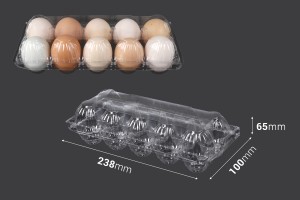 Eierkartons aus Kunststoff 10 Plätze mit den Maßen 238x100x65mm-εικόνα_διαστάσεις