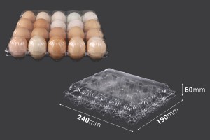 Caisses à oeufs en plastique 20 places aux dimensions 240x190x60 mm-εικόνα_διαστάσεις