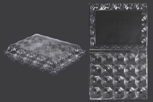 Caisses à oeufs en plastique 20 places aux dimensions 240x190x60 mm-εικόνα_προϊοντική