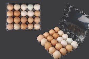 Caisses à oeufs en plastique 20 places aux dimensions 240x190x60 mm-εικόνα_σύνθεση