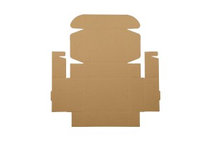 Boîte d'emballage en papier kraft 220 x160 x 70 mm - 20 pcs-5