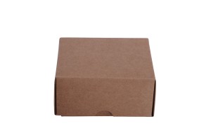 Boîte d'emballage en papier kraft sans fenêtre 130 x 120 x 60 mm - 20 pcs
