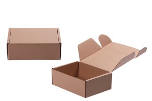 Kraftpapierbox ohne Fenster 200x145x70mm - 20St-2