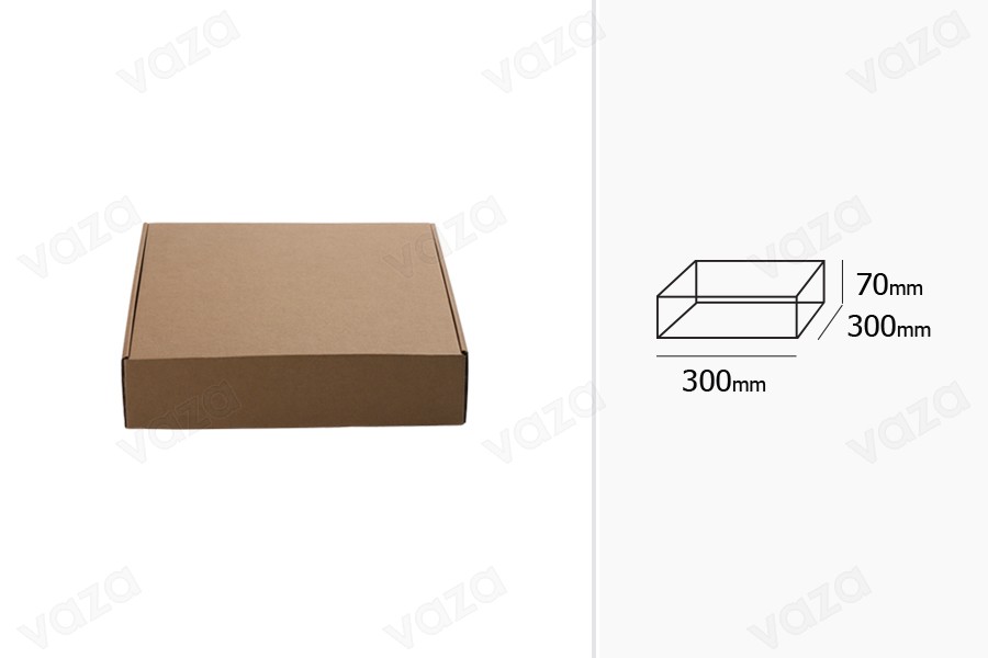 Packung mit Kraftpapier ohne Fenster 300x300x70mm - Packung mit 20 Stück Packung mit Kraftpapier ohne Fenster 300x300x70mm - Packung mit 20 Stück-εικόνα_σύνθεση