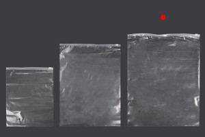 Sachets mit Reißverschluss 350x450 mm Kunststoff, transparent - 50 Stck-6