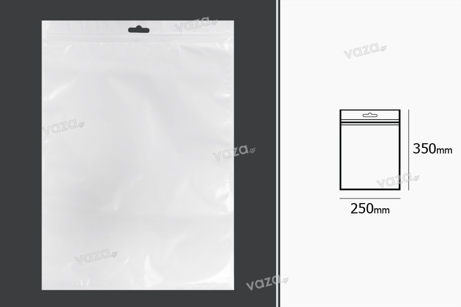Plastic zip lock pouch with Eurohole, white back side and transparent front size in size 250x350 mm - 100 pcs