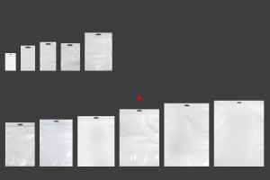 Plastikbeutel 230x330 mm mit Druckverschluss und Euroloch -100 Stücke-3