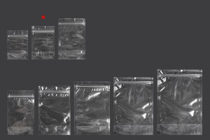 Sachets de type Doypack 100 x 30 x 150 mm transparents avec fermeture zip et possibilité de fermeture par thermoscellage - 100 pcs-εικόνα_σύνθεση