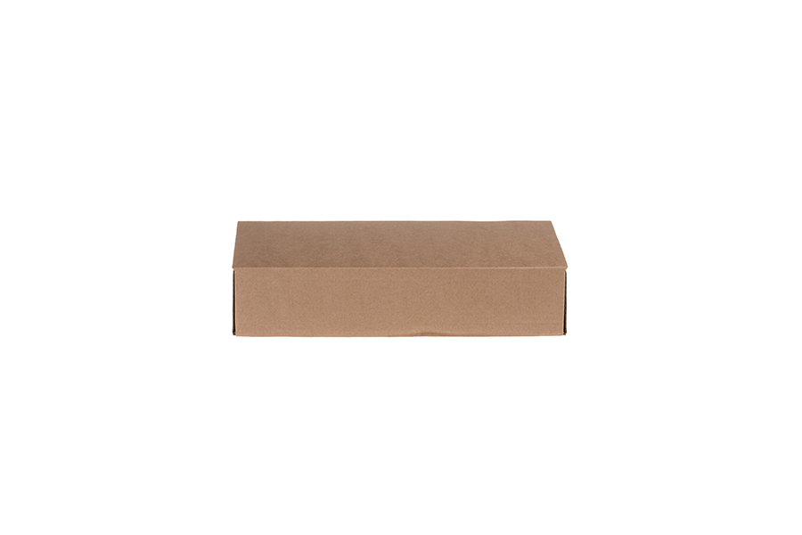 Braune Schachtel (No91)  20.5x12x4cm -10 Stücke