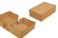 Carton 30x20x10 brown 3-sheet - 25 pcs