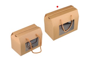 Boîte en papier - sac cadeau 200x110x155 mm avec ficelle et fenêtre de différentes couleurs - 12 pcs-3