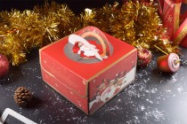 Christmas paper gift box 250x250x150mm with handle - 10 pcs