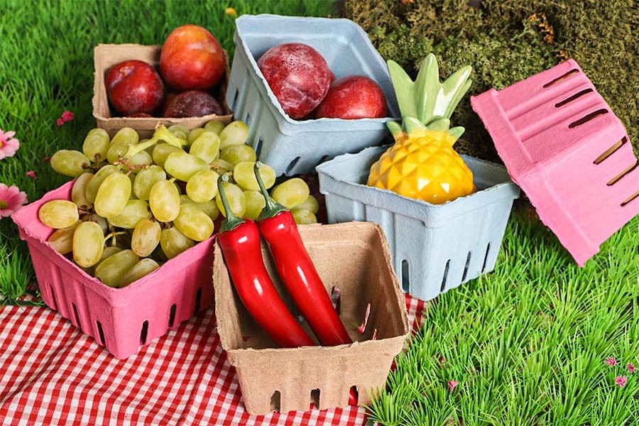 Obstkörbe 110x110x75mm aus Recyclingpapier Obstkörbe 110x110x75mm aus Recyclingpapier-εικόνα_σύνθεση