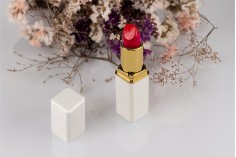 Lipstick case 3,5 g in white matte color - 5 pcs
