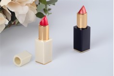 Lipstick case 3,5 g with magnetic closure - 5 pcs