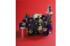30 ml perfume bottle with silver spray and lid (PP 15)