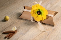 Karton 200x90x40mm aus Kraftpapier in Kissenform - 20 Stück