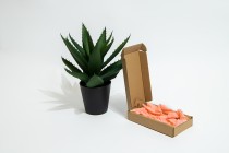 Boîte en papier kraft sans fenêtre 100 x 180 x 30 mm - 20 pcs