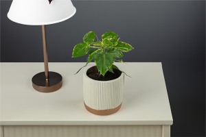 Decorative cement jar 103,5x98 mm - mix color-εικόνα_σύνθεση