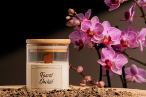 Forest Orchid Bougie de soja aromatique avec mèche en bois (110gr)-εικόνα_διαστάσεις