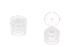 Klappdeckel PP18 Kunststoff, transparent-produktbild