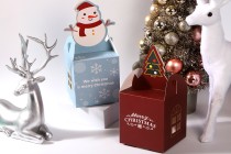 Boîte cadeau de Noël en papier 85 x 85 x 100 mm - 25 pcs Boîte cadeau de Noël en papier 85 x 85 x 100 mm - 25 pcs