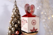 Christmas paper gift box 90x90x155mm - 10 pcs