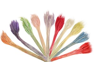 Fleurs séchées de différentes couleurs pour la décoration et l'ornementation - 1 pc (bouquet d'environ 50 branches)-2