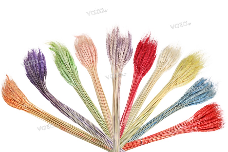 Αποξηραμένα λουλούδια σε διάφορα χρώματα για στολισμό και διακόσμηση - 1 τμχ (μπουκέτο με περίπου 50 κλαδιά)