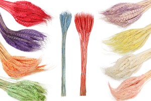 Fleurs séchées de différentes couleurs pour la décoration et l'ornementation - 1 pc (bouquet d'environ 50 branches)-3