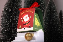Christmas paper gift box 80x70x90mm with ribbon - 10 pcs