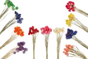 Lule të thata për zbukurim - 1 copë (buqetë me rreth 15 degë)