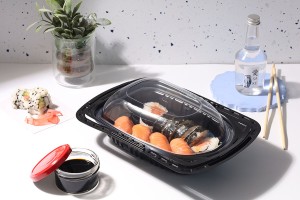 Kunststoffverpackung (Utensilien) 264x195x110mm mit Deckel - 12 Stk-5