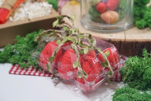 Eierkartons aus Kunststoff 10 Plätze mit den Maßen 238x100x65mm-εικόνα_σύνθεση