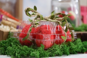 Eierkartons aus Kunststoff 10 Plätze mit den Maßen 238x100x65mm-εικόνα_σύνθεση