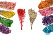 Fleurs décoratives séchées - bouquet de 100 g