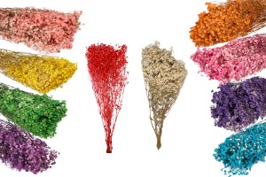 Fleurs décoratives séchées - bouquet de 100 g