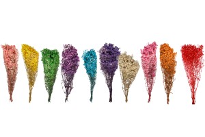 Fleurs décoratives séchées - bouquet de 100 g-2