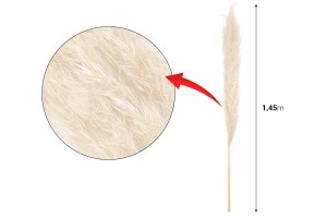 Dekorativer Pampaszweig - Höhe 1,45 m-2