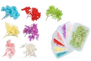 Dried decorative flowers in various colors - 6 g