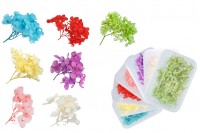 Αποξηραμένα λουλούδια διακόσμησης σε διάφορα χρώματα - 6 γρ