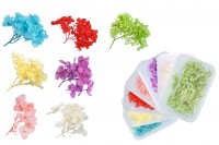 Dried decorative flowers in various colors - 6 g