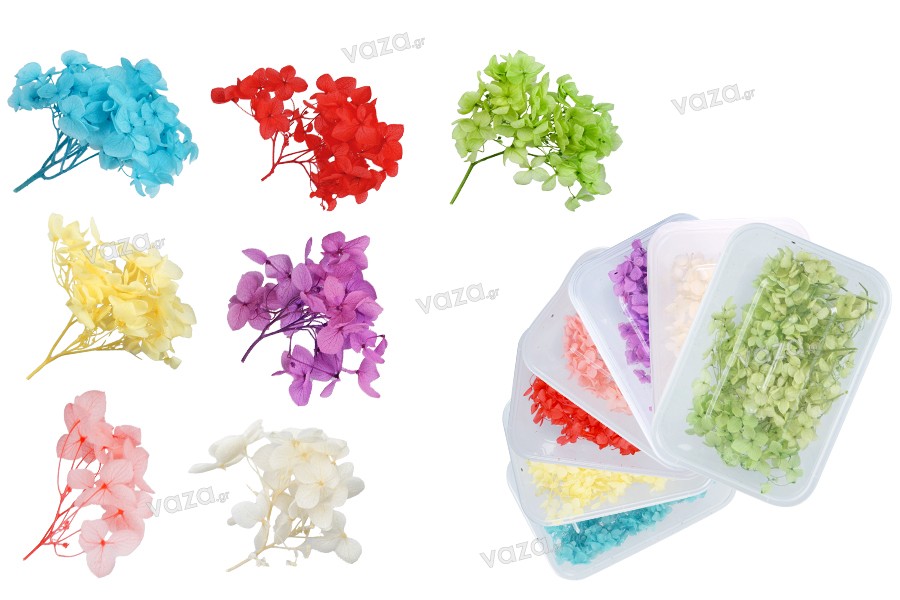 Αποξηραμένα λουλούδια διακόσμησης σε διάφορα χρώματα - 6 γρ
