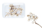 Decorative sprigs for candles and crafts - 15 g