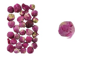 Boutons floraux séchés pour la décoration - 30 g-2