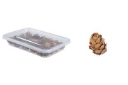 Pine cones for decoration - 30 g