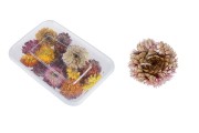 Dried flowers (potpourri) for decoration - 15 g